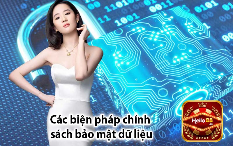 Các biện pháp chính 
sách bảo mật dữ liệu